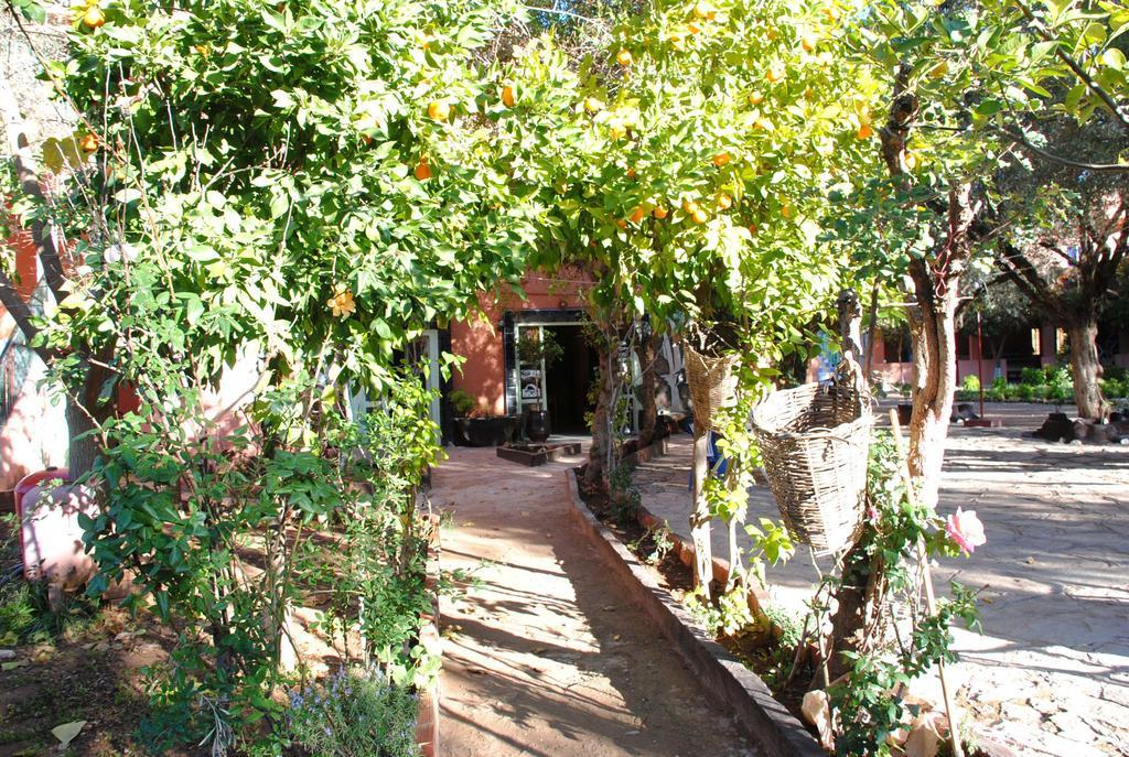 Hotel France אוזוד מראה חיצוני תמונה